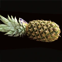Ananas Costa Rica Pce~1kg500 x8 pces