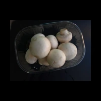 Champignons de Paris Kilo