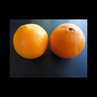Oranges Blondes république d'Afrique du Sud carton 15 kg