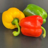 Poivrons Tricolores Espagne 5 Kg