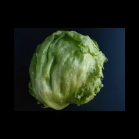 Salade Iceberg Espagne 12 Pièces