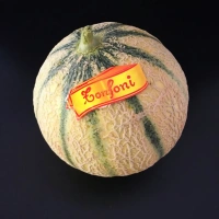 Melon Cavaillon Tonfoni ~700gr Signature carton 15 pièces