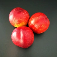 Nectarines Jaunes AA Kilo France