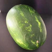 Pastèque Brésil pièce env 4 kilos