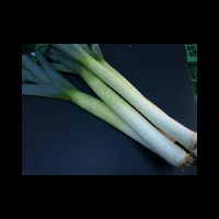 Poireaux Verts France 10 kilos