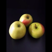 Pommes Golden I