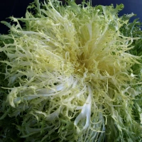 Salade Frisée Blanchie Espagne KG